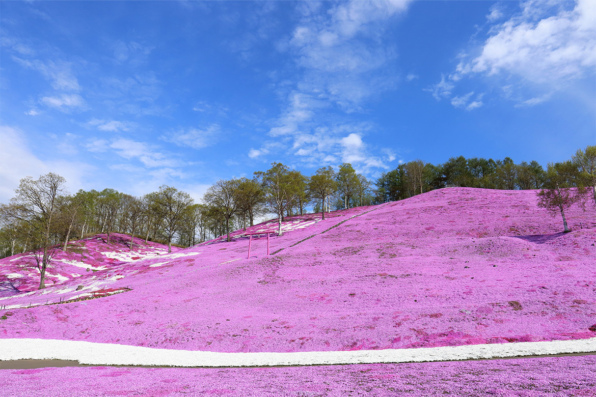 北海道産地情報