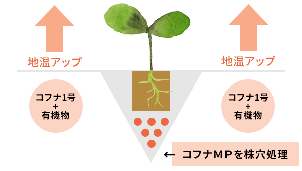 冬期間の地温UP