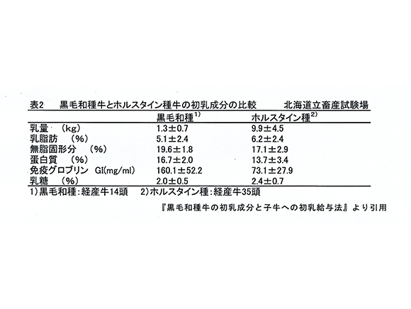 ホルスタインの初乳を給与する場合