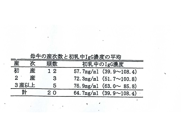 和牛の母牛から初乳を自発哺乳させる場合
