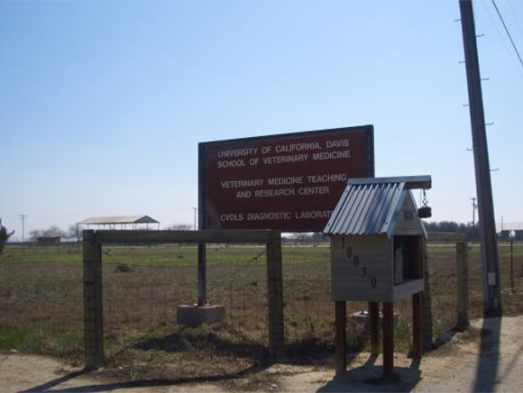 2007年09月　カリフォルニア州立大学の研修と視察