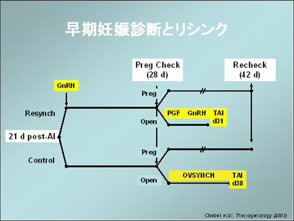 6）授精後の対応